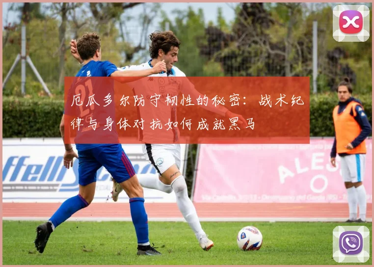 厄瓜多尔防守韧性的秘密:战术纪律与身体对抗如何成就黑马