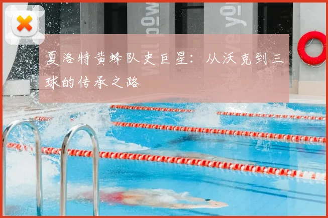 夏洛特黄蜂队史巨星:从沃克到三球的传承之路