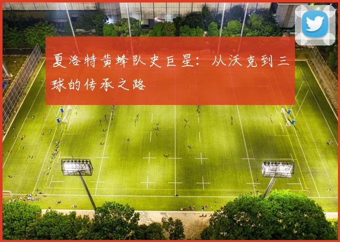 夏洛特黄蜂队史巨星:从沃克到三球的传承之路